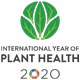 International Year of Plant Heath 2020 logo